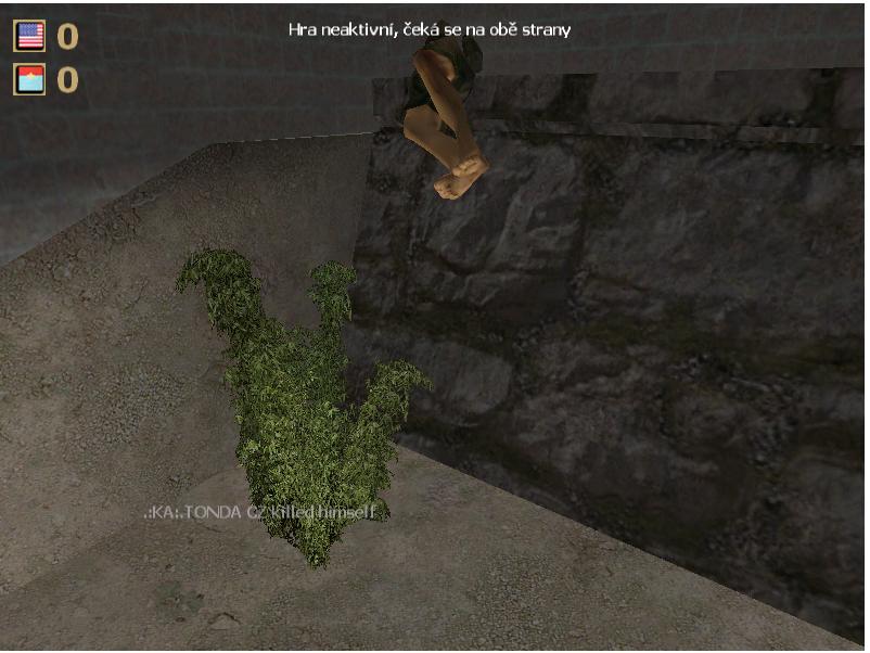 Vietcong 12.jpg
